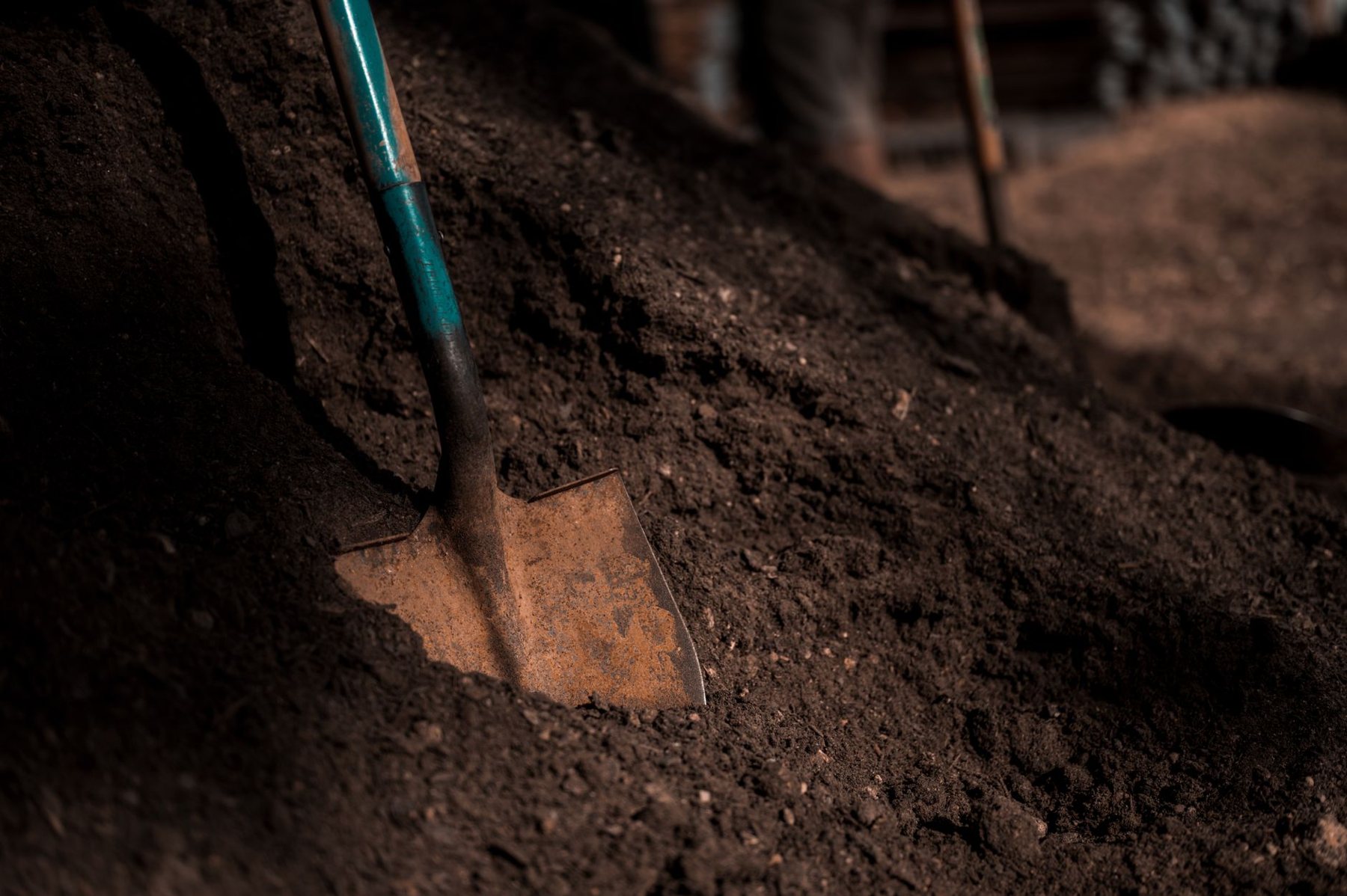 Lawn Removal & Base Prep in Surprise AZ
