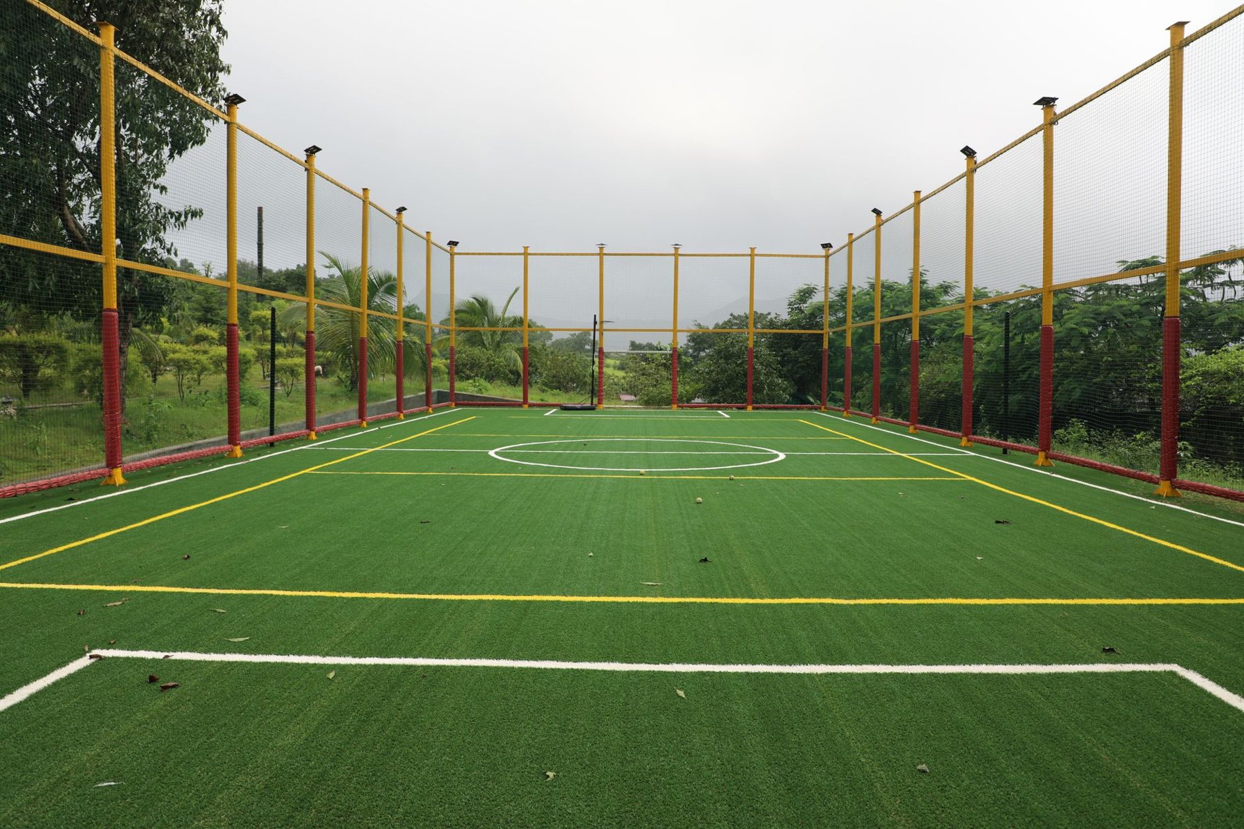 Turf Repair & Refresh in Surprise AZ